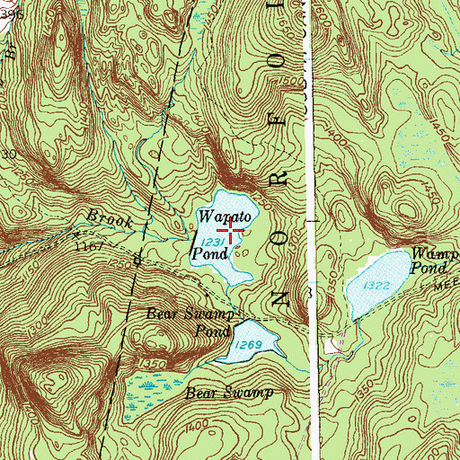Topographic Map of Wapato Pond, CT