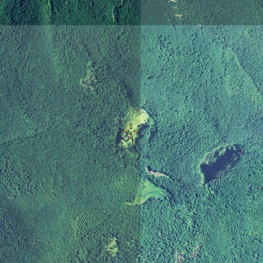 Aerial/Satellite Image of Wapato Pond, CT