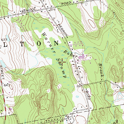 Topographic Map of Warner Swamp, CT