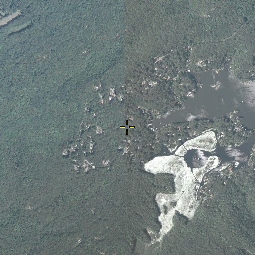 Aerial/Satellite Image of Weaver House Run, NJ
