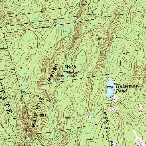 Topographic Map of Webb Swamp, CT