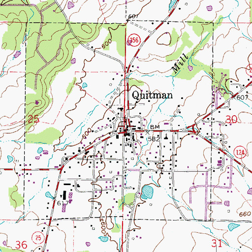 Topographic Map of Quitman Rescue, AR