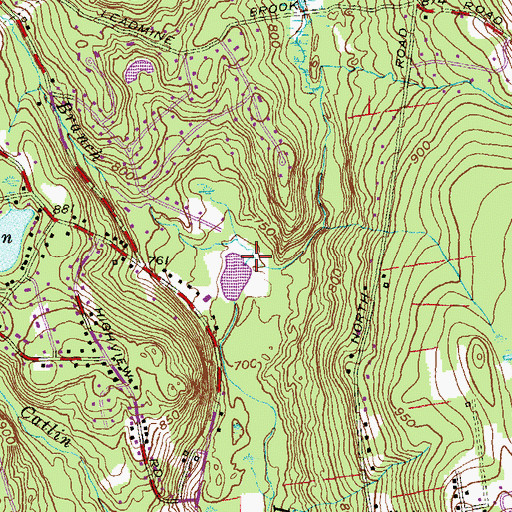 Topographic Map of West Branch Leadmine Brook, CT