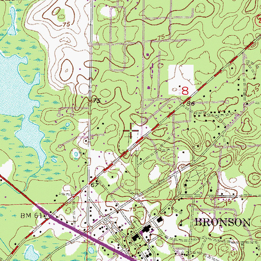 Topographic Map of Bronson Cemetery, FL