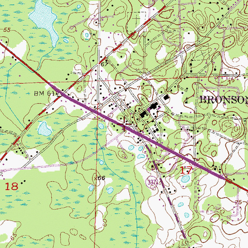 Topographic Map of Bronson Community Church, FL