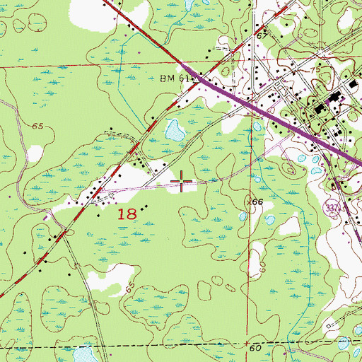 Topographic Map of Bronson Recreation Park, FL