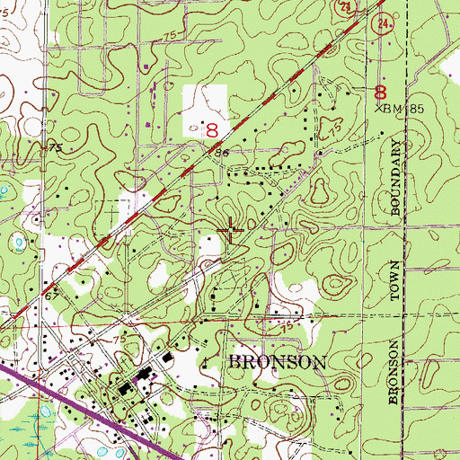 Topographic Map of Apostolic Faith Temple Church, FL