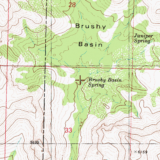 Topographic Map of Brushy Basin Spring, AZ