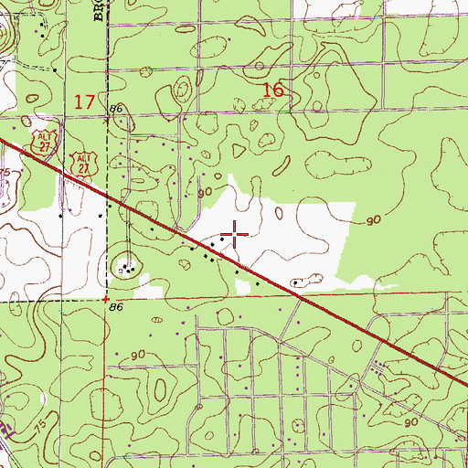 Topographic Map of Bronson Church of God, FL