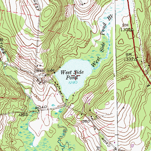 Topographic Map of West Side Pond, CT