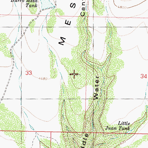 Topographic Map of Burro Mesa, AZ