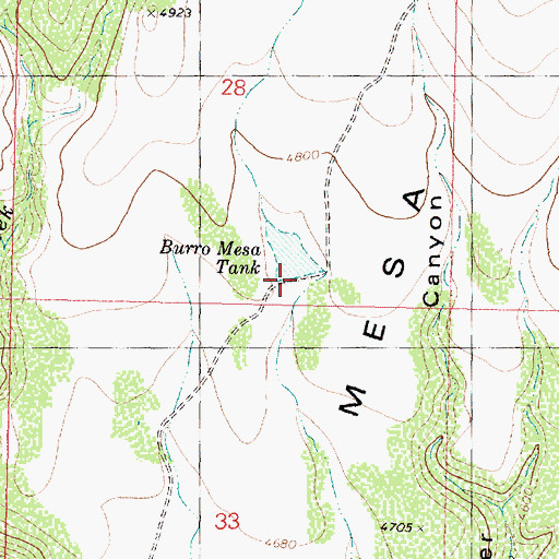 Topographic Map of Burro Mesa Dam, AZ
