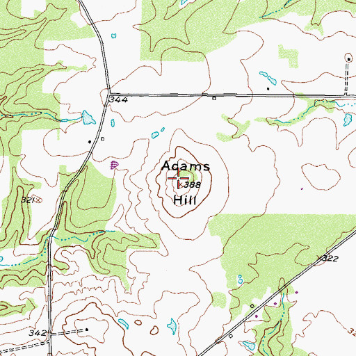 Topographic Map of Adams Hill Fire Tower, TX