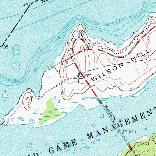 Topographic Map of Wilson Hill, NY