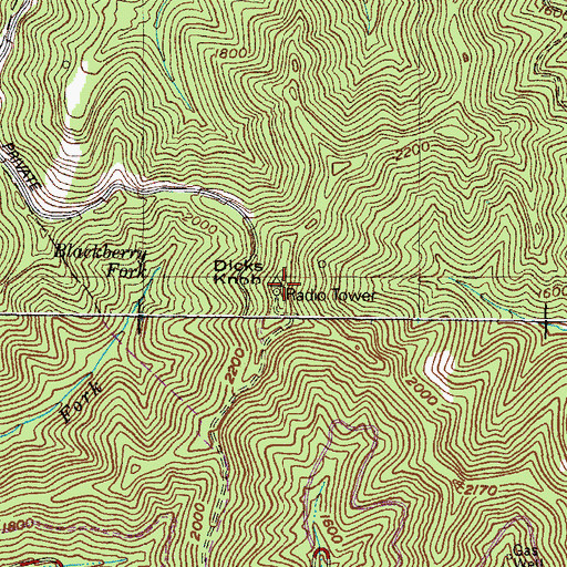Topographic Map of Dicks Knowl, KY