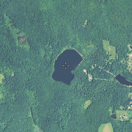 Aerial/Satellite Image of Whist Pond, CT