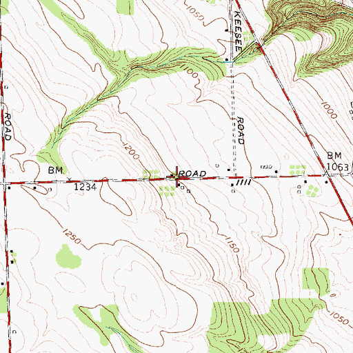 Topographic Map of School Number 8 (historical), NY