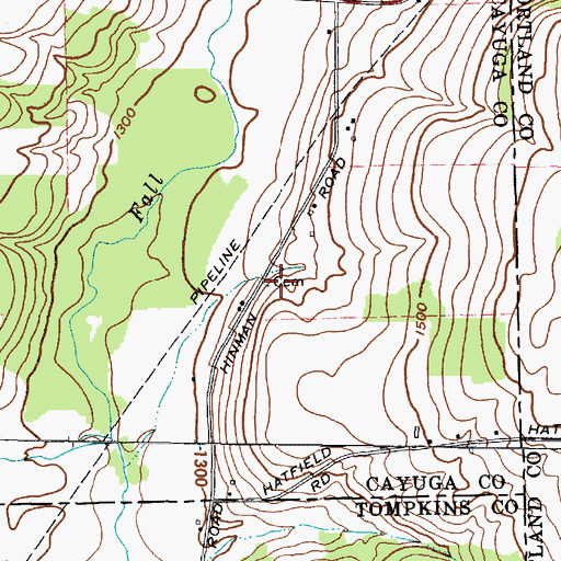 Topographic Map of Hinman Cemetery, NY