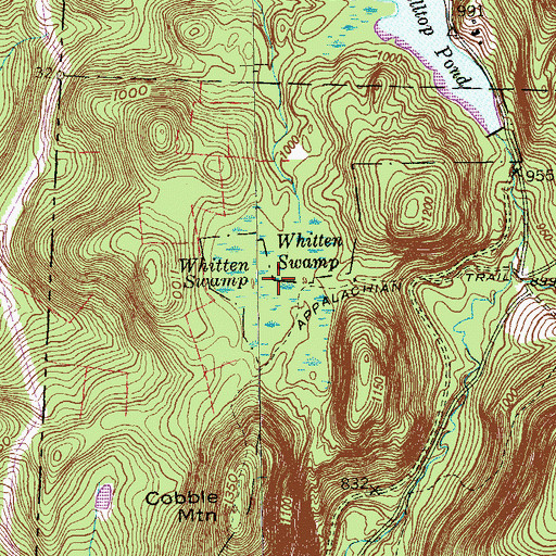 Topographic Map of Whitten Swamp, CT