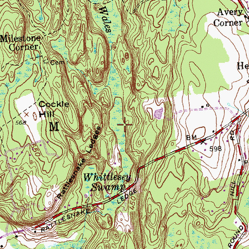 Topographic Map of Whittlesey Swamp, CT