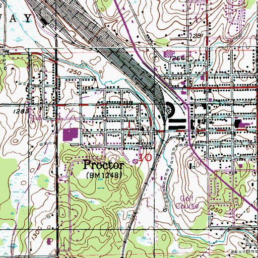 Topographic Map of Immanuel Lutheran Church, MN