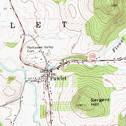 Topographic Map of Pawlet Volunteer Fire Department, VT