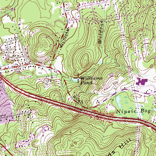 Topographic Map of Williams Pond, CT
