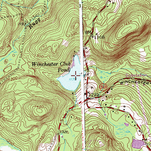 Topographic Map of Winchester Club Pond, CT