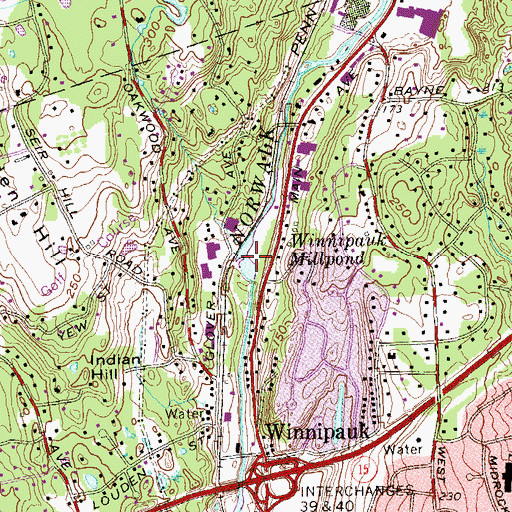 Topographic Map of Winnipauk Millpond, CT