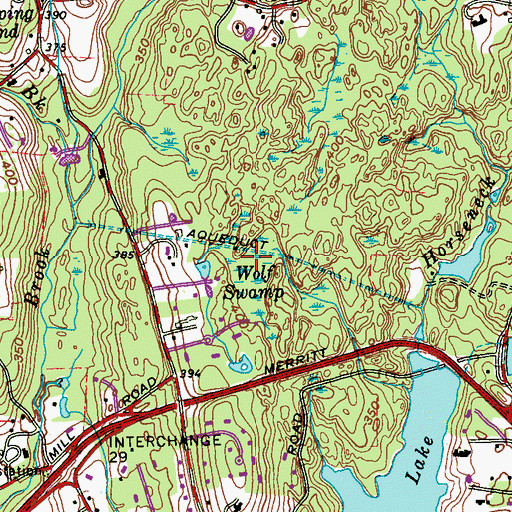 Topographic Map of Wolf Swamp, CT