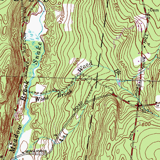 Topographic Map of Wood Brook, CT
