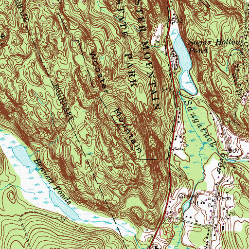 Topographic Map of Wooster Mountain, CT