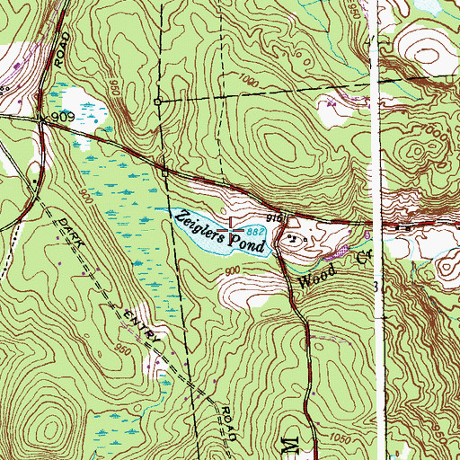 Topographic Map of Zeiglers Pond, CT