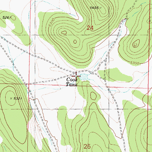 Topographic Map of Cook Tank, AZ