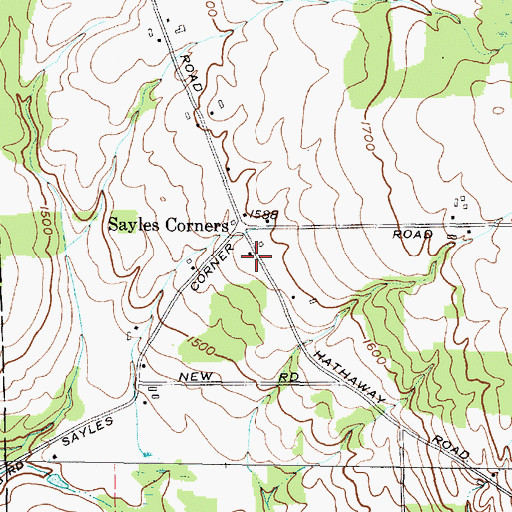 Topographic Map of School Number 8 (historical), NY