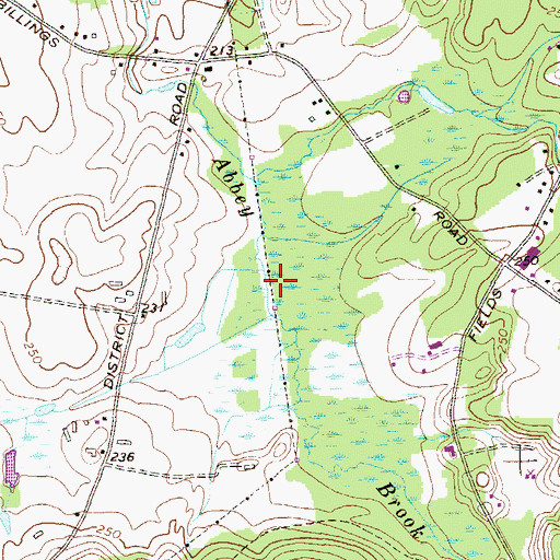 Topographic Map of Pease Brook, CT