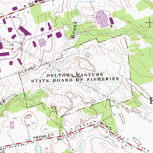 Topographic Map of Peltons Pasture State Board of Fisheries, CT