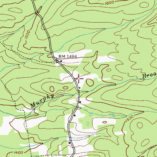 Topographic Map of Murphy Clearing, NY