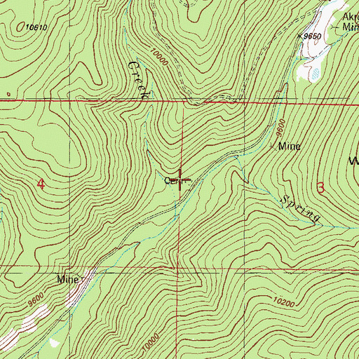 Topographic Map of White Pine Cemetery, CO