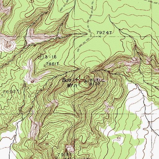 Topographic Map of Buell Mountain, AZ