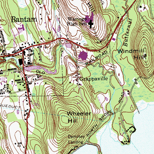 Topographic Map of Grappaville, CT