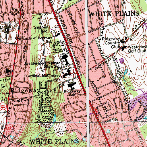 Topographic Map of Orthopaedic Hospital (historical), NY