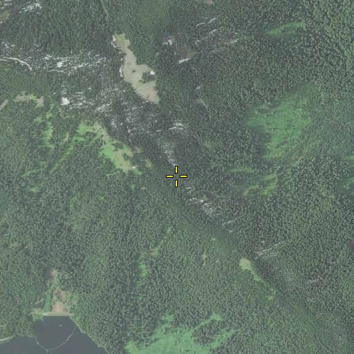 Aerial/Satellite Image of Salvation Spring, OR