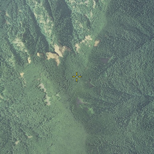 Aerial/Satellite Image of Teakettle Spring, OR