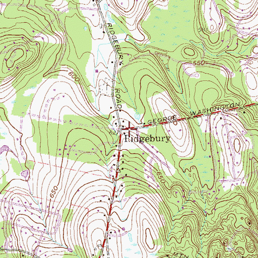 Topographic Map of Ridgebury, CT