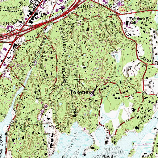 Topographic Map of Tokeneke, CT