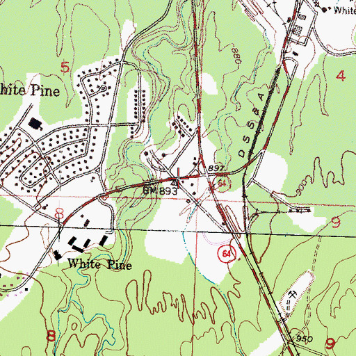 Topographic Map of White Pine Station, MI
