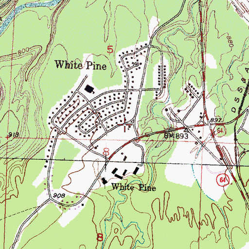 Topographic Map of Carp Lake Township Library, MI