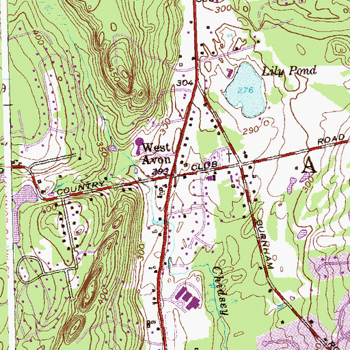 Topographic Map of West Avon, CT