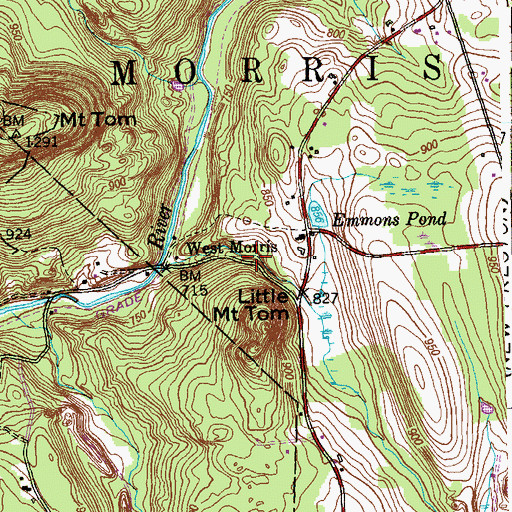 Topographic Map of West Morris, CT